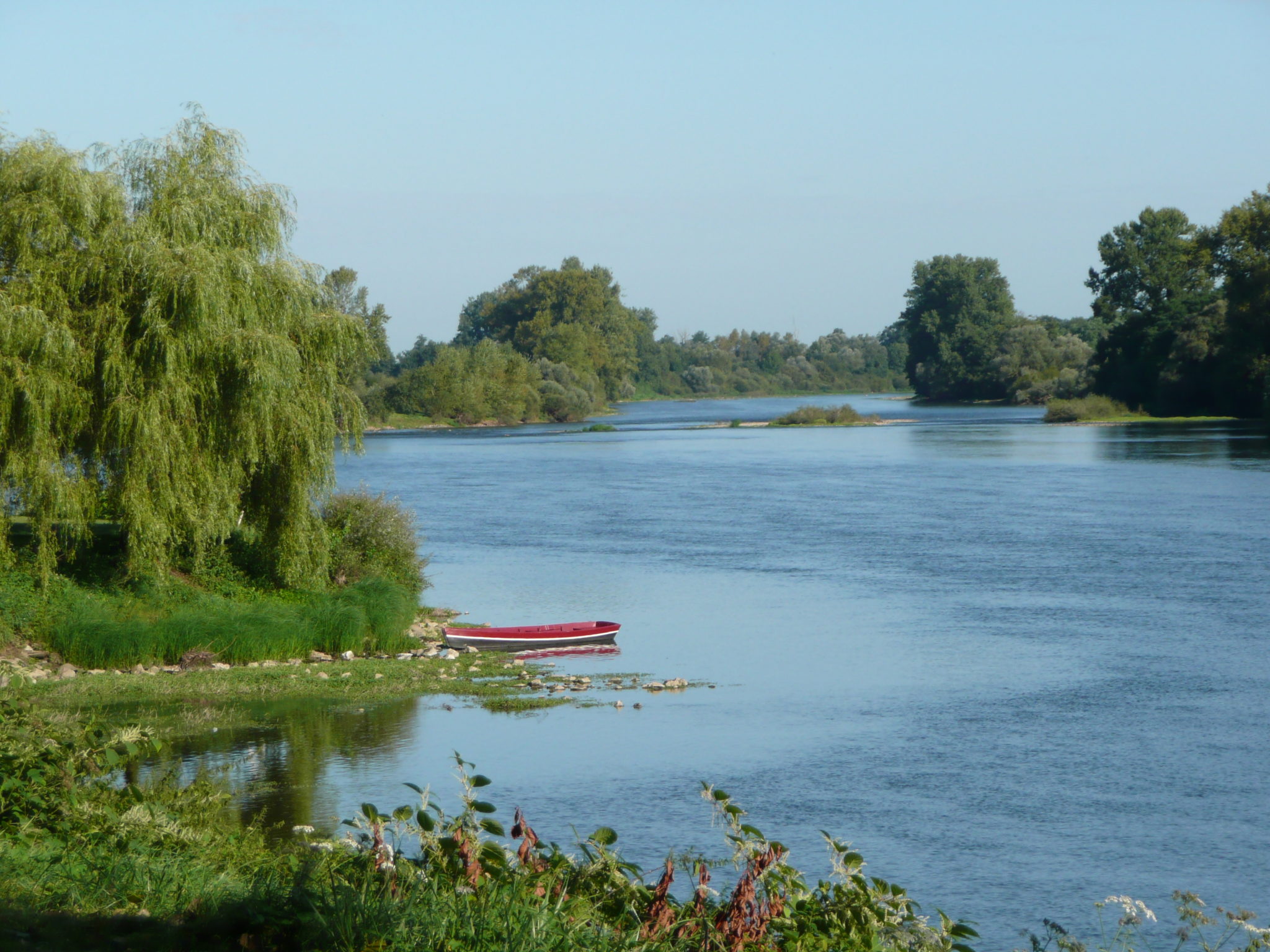 Bords de Loire à Diou