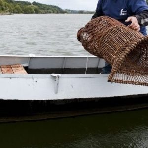 ASSOCIATION DÉPARTEMENTALE DES PÊCHEURS AMATEURS AUX ENGINS ET AUX FILETS 03