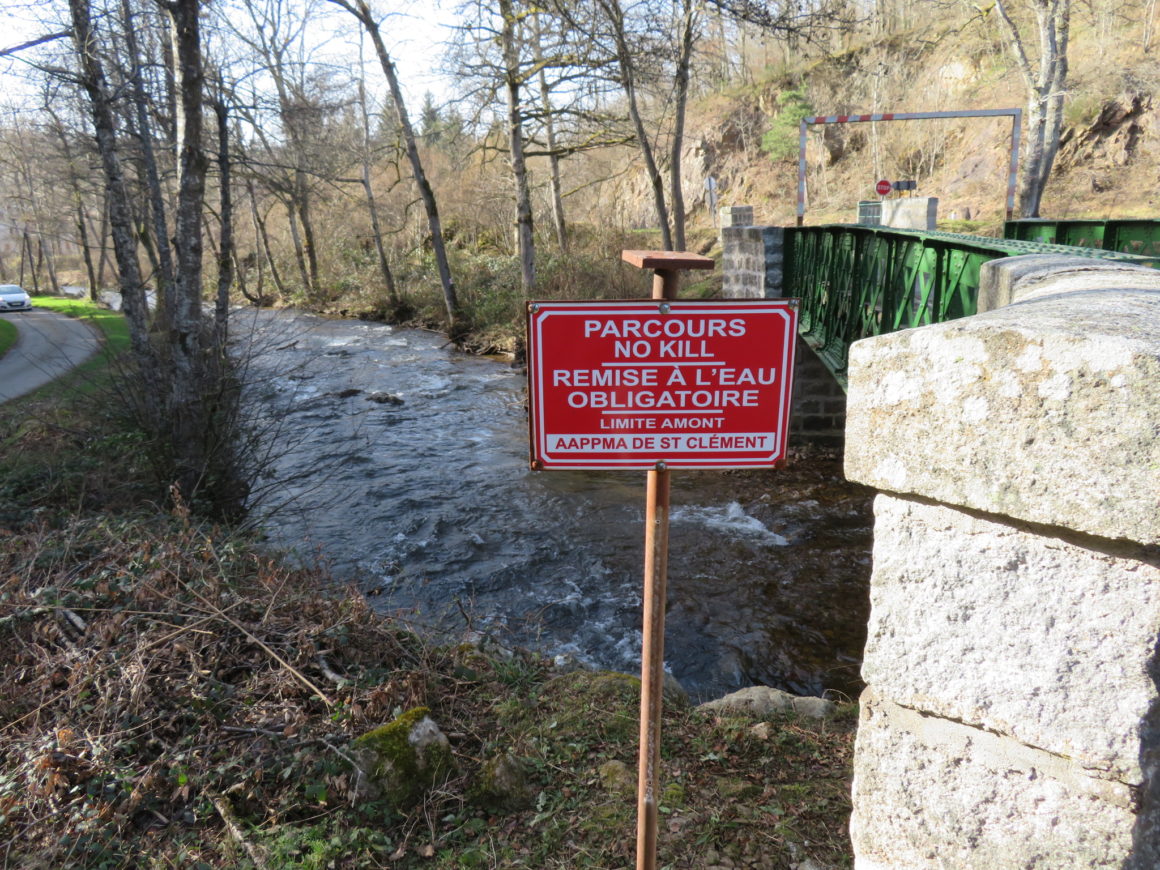 NOUVEAU PARCOURS NO-KILL SUR LA HAUTE-BESBRE A ST CLEMENT