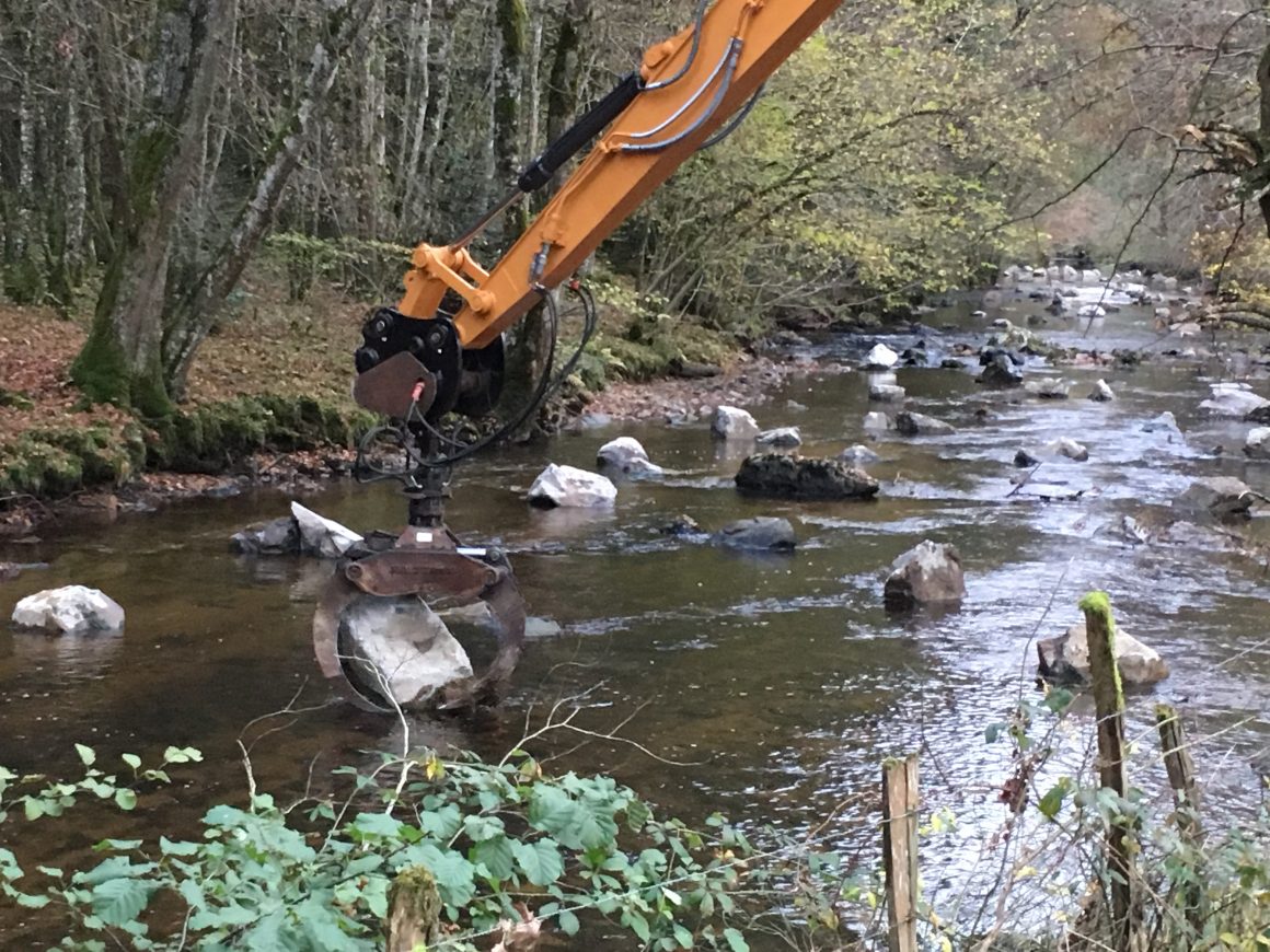 Diversification d’habitats sur le Sichon