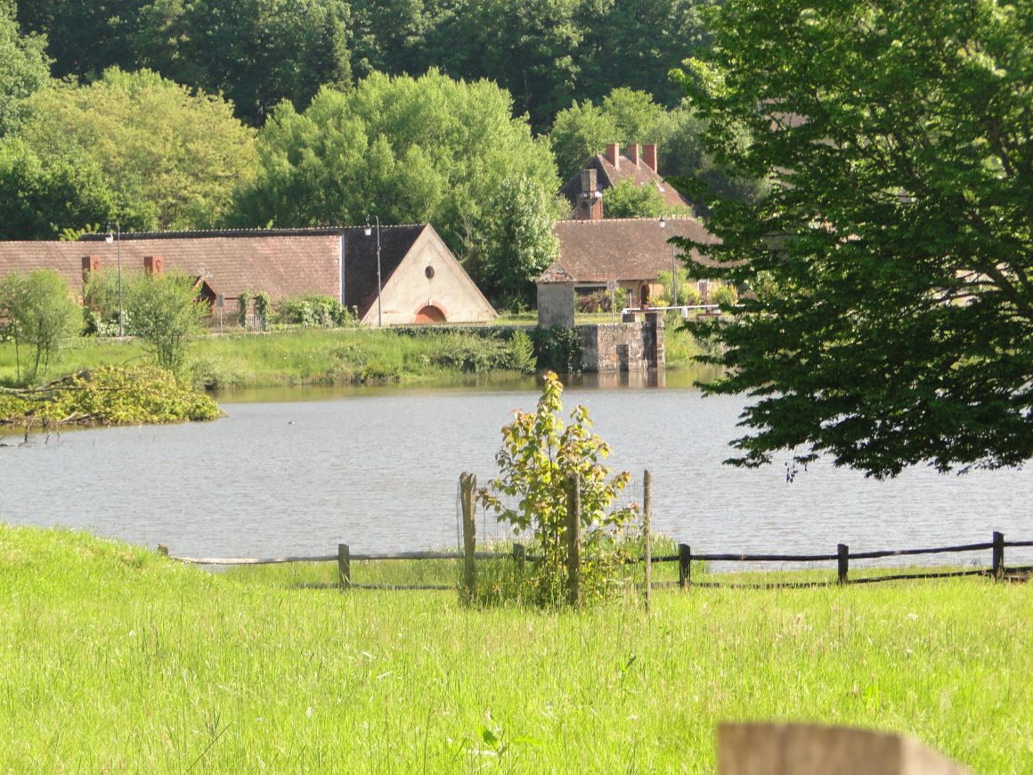 Etang de Tronçais