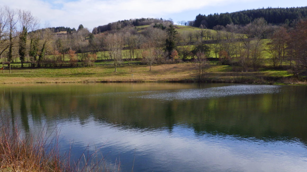 Plans d’eau d’Arfeuilles