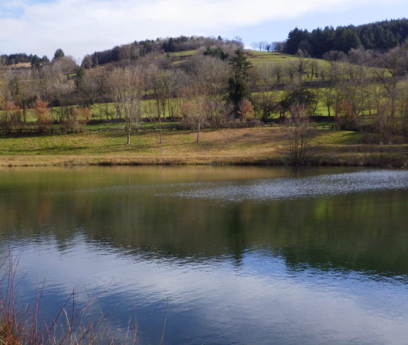 Plans d’eau d’Arfeuilles