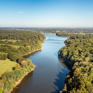 Etang de Pirot