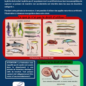 Comment pêcher pendant la fermeture des carnassiers dans l’Allier?