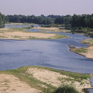 Le “Rando Fishing Allier” à Moulins