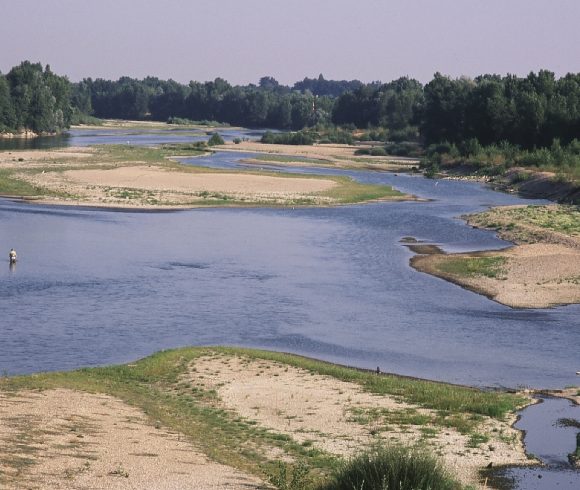 Le “Rando Fishing Allier” à Moulins