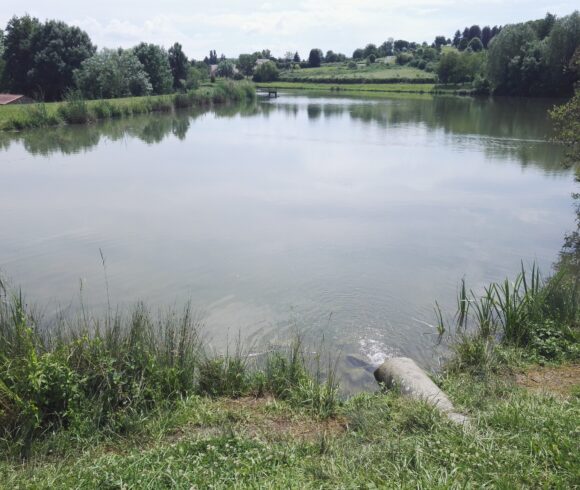 Le plan d&rsquo;eau de Bellenaves