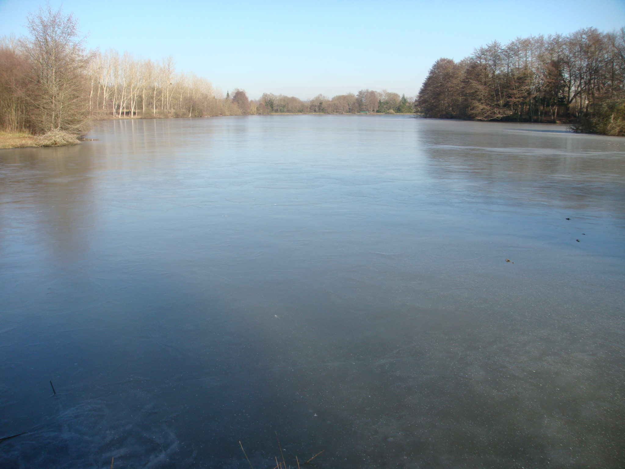 Domaine de Venas ; hivers ; étangs gelés (24)