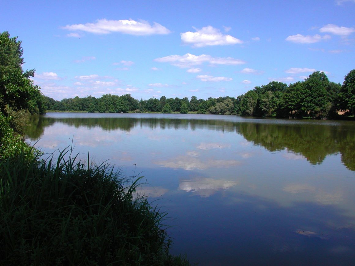 Le Grand Etang de Venas