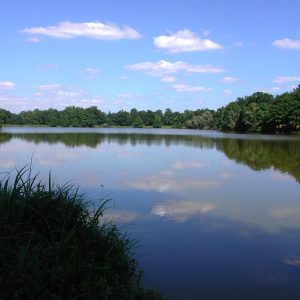 Le Grand Etang de Venas