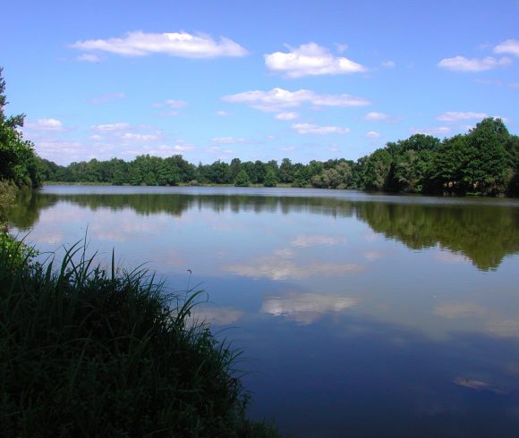 Le Grand Etang de Venas