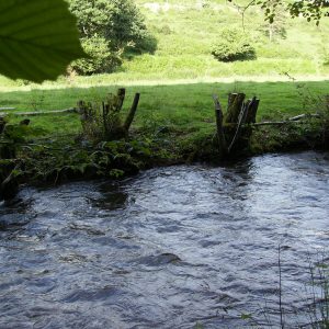 La Besbre à La Chabanne