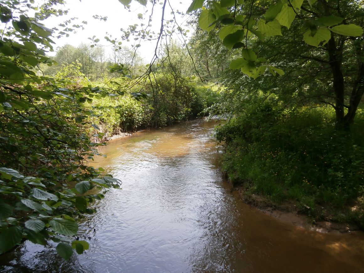 Le Voirat et la Rongère