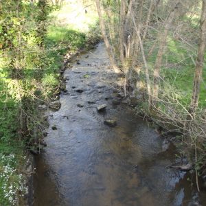 L’Oeil amont, le ruisseau de la Chaux, des Bannes et le Banny