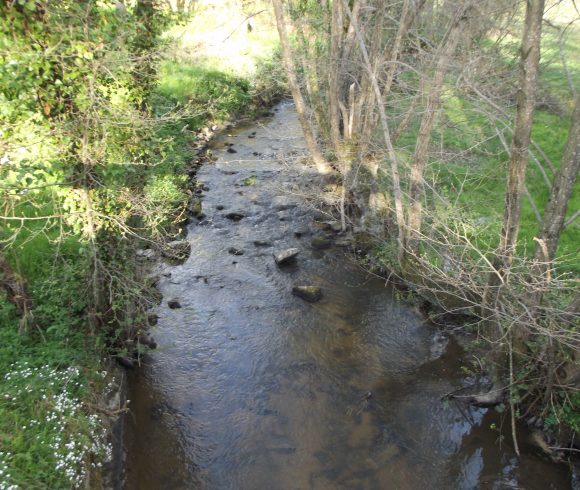 L’Oeil amont, le ruisseau de la Chaux, des Bannes et le Banny