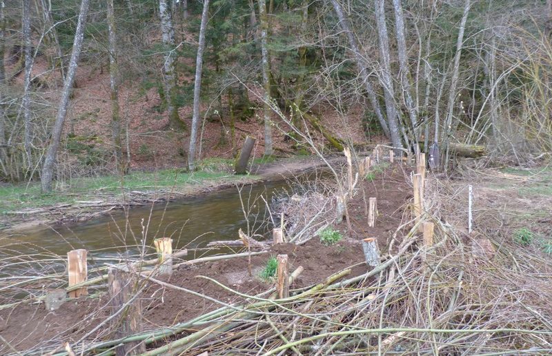 Travaux de restauration d’une berge sur la Besbre par l’AAPPMA d’Arfeuilles