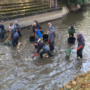 Pêches de sauvetage sur la rivière artificielle de Vichy