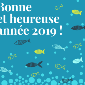 Bonne année 2019 !