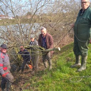 Nettoyage du bassin Maurice – AAPPMA Lapalisse