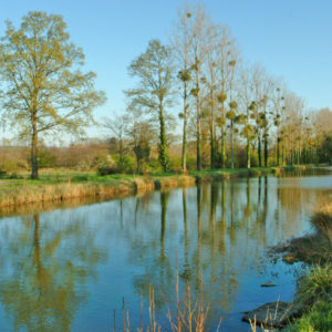 Interdiction de pêche sur le canal de Berry à Vaux