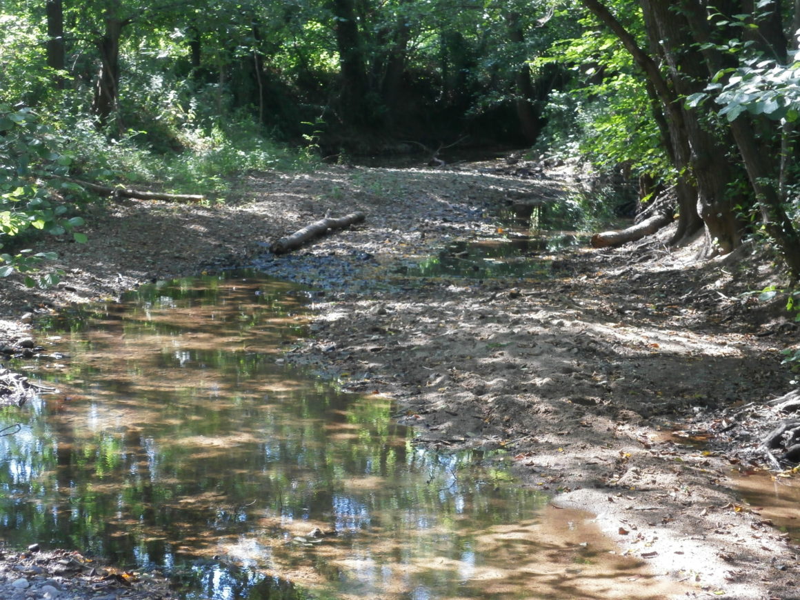 Interdiction de l’exercice de la pêche sur les cours d’eau de 1ère catégorie piscicole