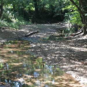 Interdiction de l’exercice de la pêche sur les cours d’eau de 1ère catégorie piscicole