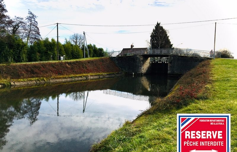 Interdiction totale de pêche à l’aval des écluses sur le canal latéral à la Loire et le canal de Roanne à Digoin
