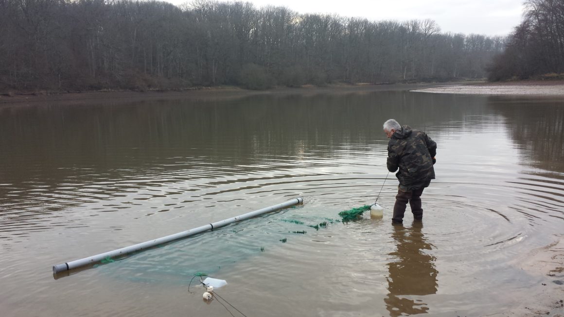 Mise en place de frayères artificielles au plan d’eau de Pirot