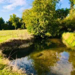 Venez découvrir un nouveau parcours de pêche sur l’Acolin au pont des Moreaux à la Chapelle aux Chasses !