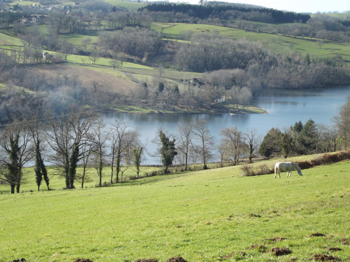 Bonne nouvelle pour le plan d’eau de Saint Clément