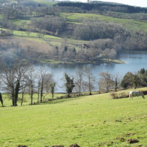 Bonne nouvelle pour le plan d’eau de Saint Clément