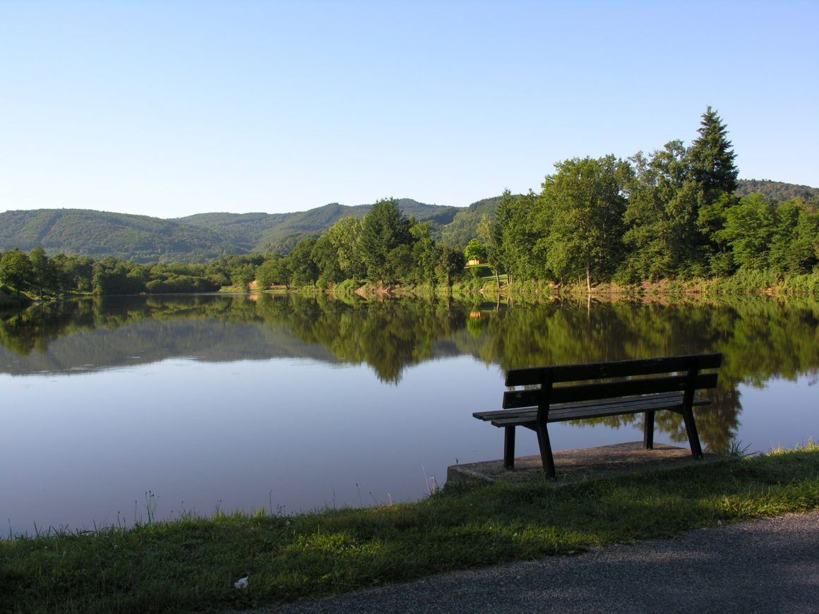 Déversement de truites au Lac des Moines