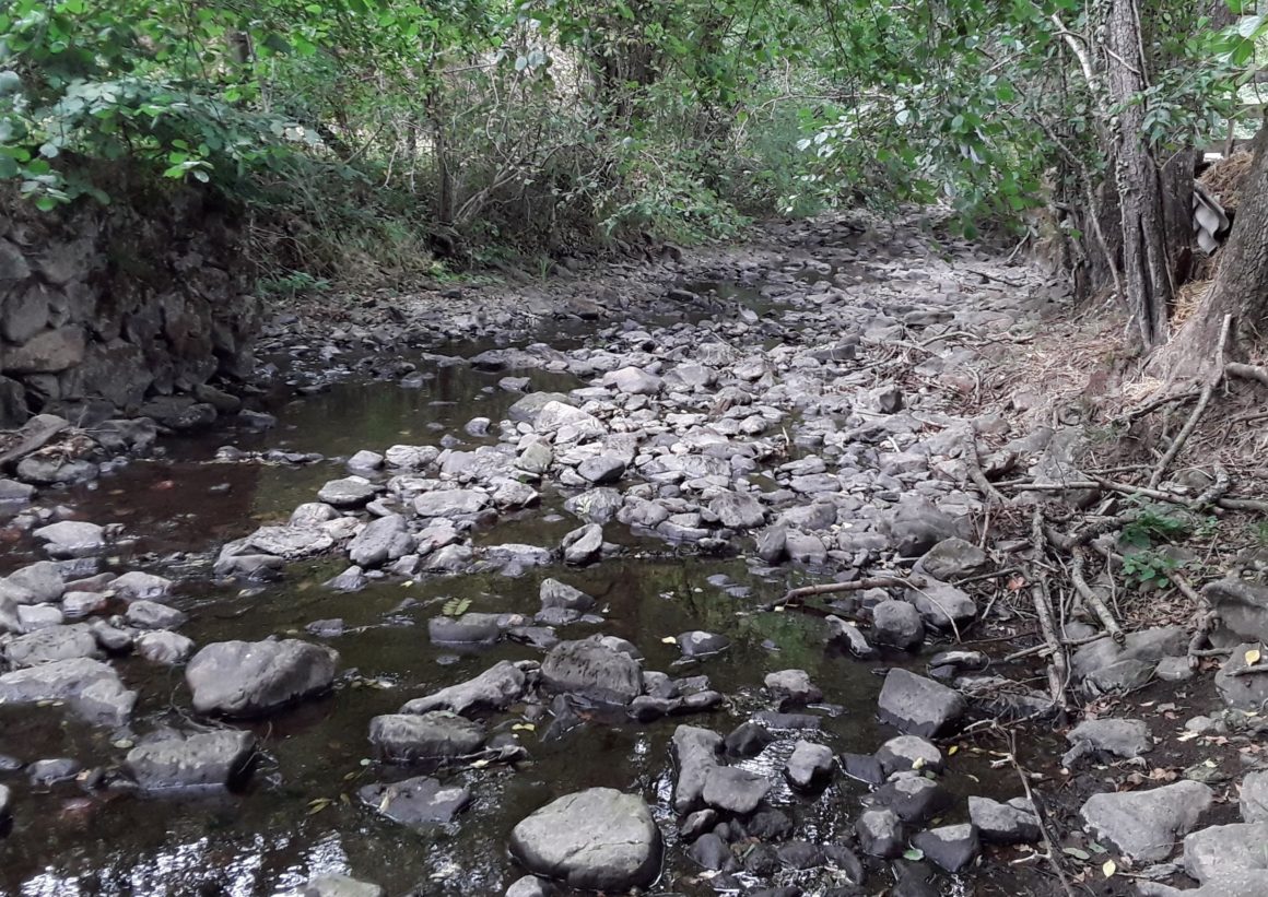 Suspension de la pêche en 1ère catégorie piscicole