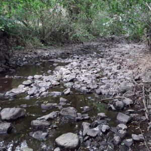 Suspension de la pêche en 1ère catégorie piscicole