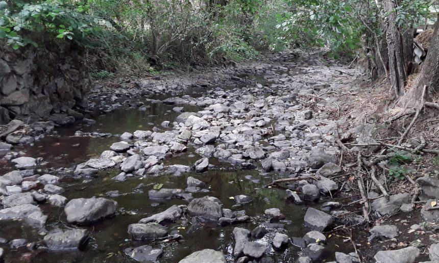 Suspension de la pêche en 1ère catégorie piscicole