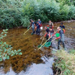 A la découverte des poissons de la Montagne Bourbonnaise