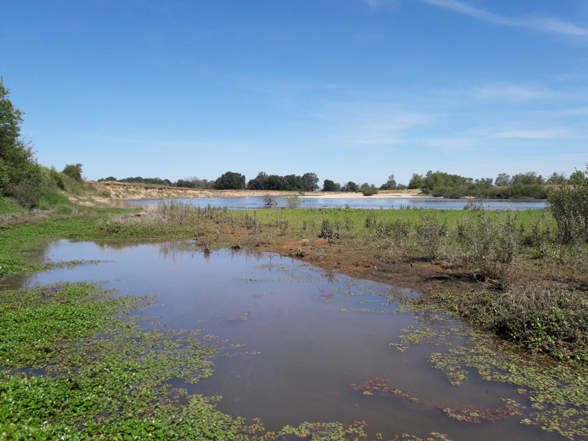 Inventaire et expertise des annexes hydrauliques du fleuve Loire