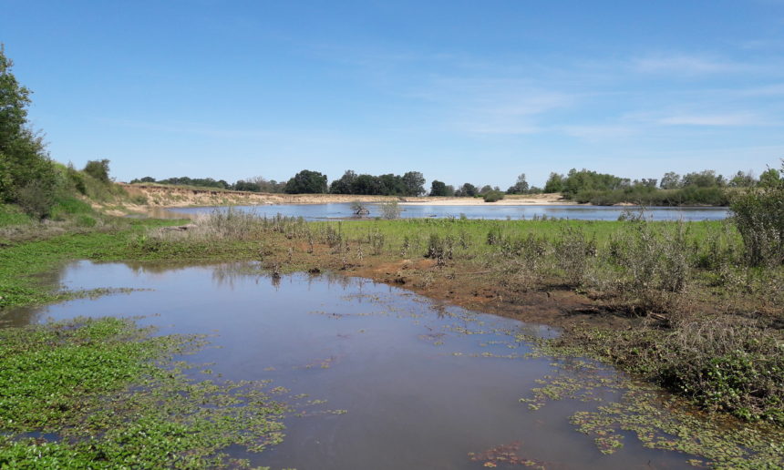 Inventaire et expertise des annexes hydrauliques du fleuve Loire