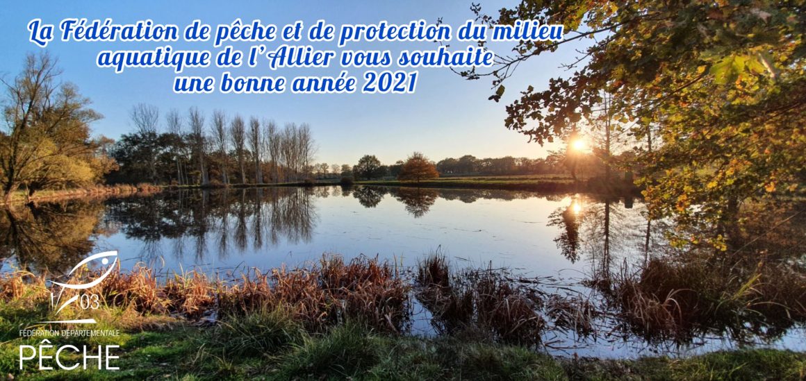 Bonne année 2021 !