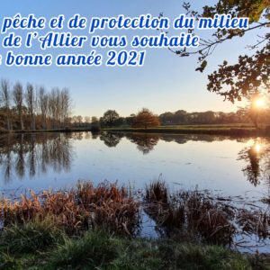 Bonne année 2021 !