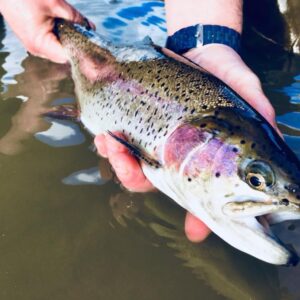 Journée Pêche de la truite sur la Bieudre au Veurdre – carte de pêche 2022 à gagner !