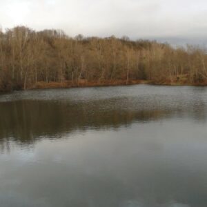 Déversement de truites au plan d’eau des Bignards