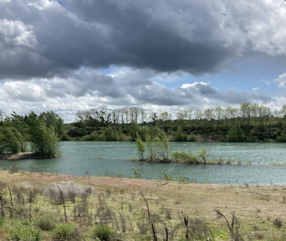 Plan d’eau “Les Champs de l’île”