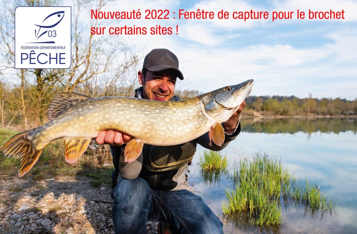 NOUVEAUTE 2022 : UNE FENETRE DE CAPTURE POUR L’ESPECE BROCHET SUR CERTAINS PARCOURS DU DEPARTEMENT DE L’ALLIER