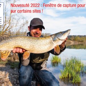 NOUVEAUTE 2022 : UNE FENETRE DE CAPTURE POUR L’ESPECE BROCHET SUR CERTAINS PARCOURS DU DEPARTEMENT DE L’ALLIER