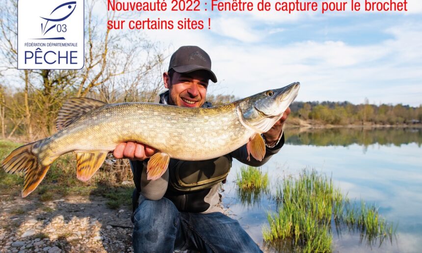 NOUVEAUTE 2022 : UNE FENETRE DE CAPTURE POUR L’ESPECE BROCHET SUR CERTAINS PARCOURS DU DEPARTEMENT DE L’ALLIER