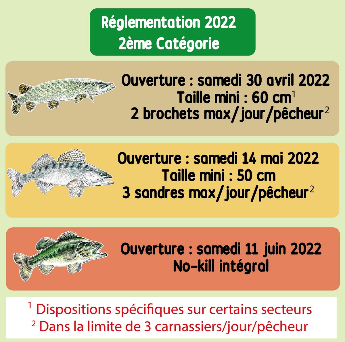 L'ouverture de la pêche du brochet en 2ème catégorie, c'est le samedi 24  avril - Fédération de Pêche de l'Allier