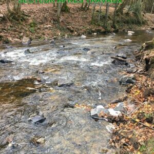 DIVERSIFICATION DE L’HABITAT PISCICOLE SUR LE SICHON ET AMÉLIORATION DE LA CONTINUITÉ ÉCOLOGIQUE (2020)