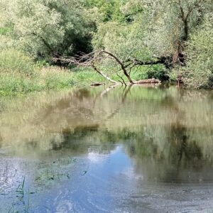 INVENTAIRE ET EXPERTISE DES ANNEXES HYDRAULIQUES DE LA RIVIÈRE CHER